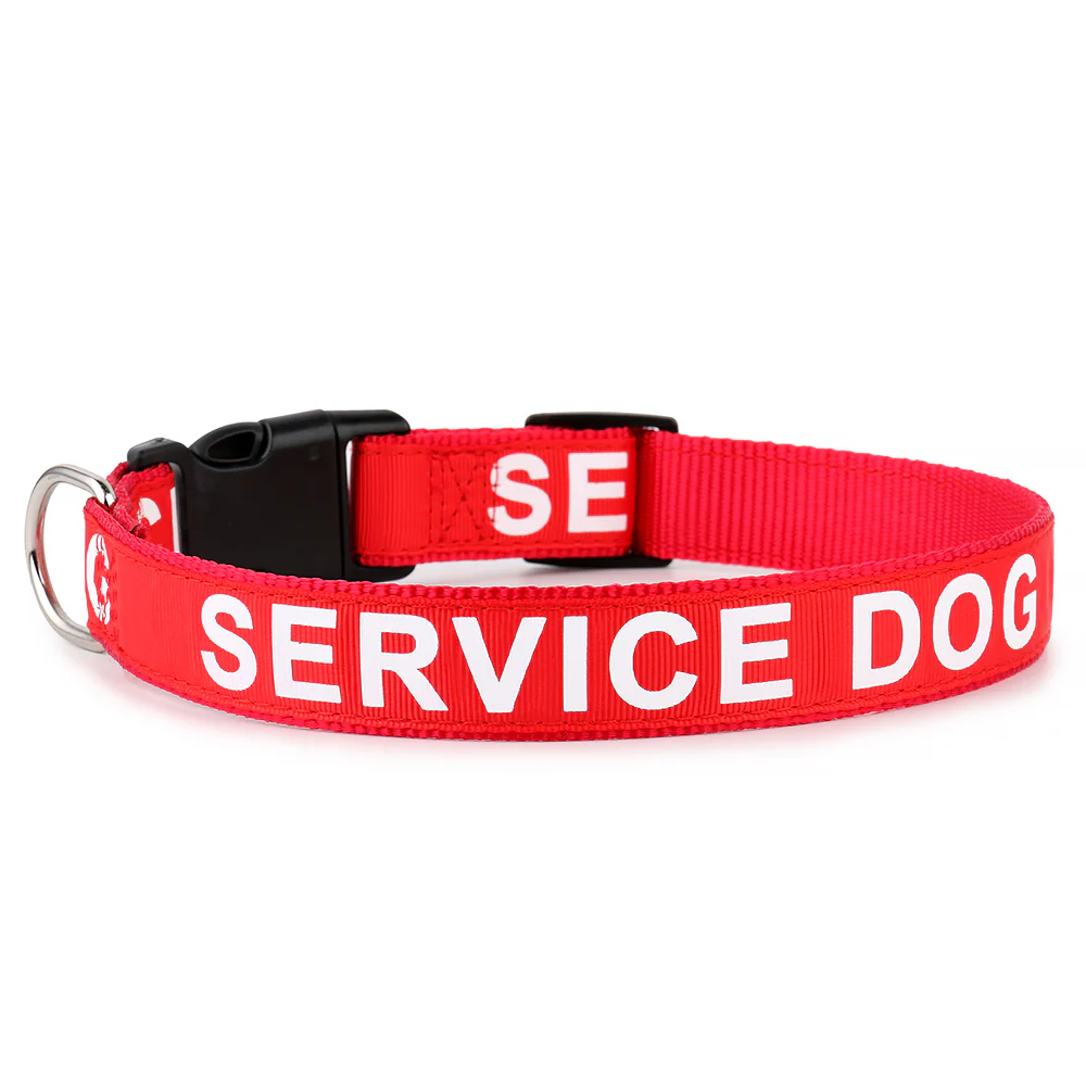 Service Dog Collar - Image 3