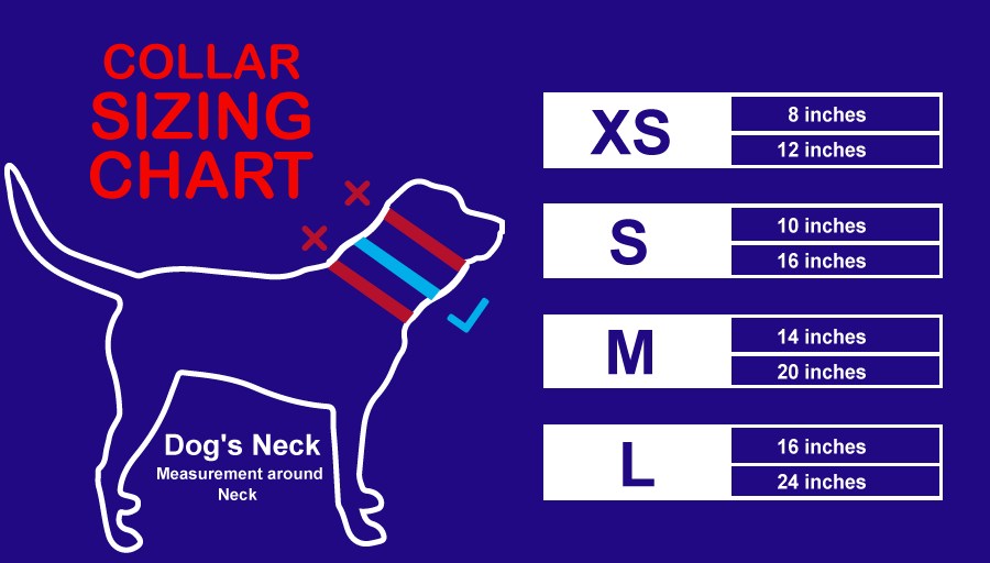 Service Dog Collar - Image 7