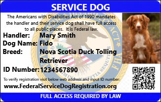 Service Dog - Complete Package (Bundle and Save $103) - Image 5