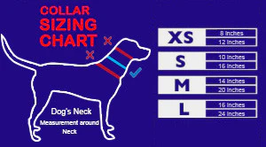 Service Dog - Premium Package (Bundle and Save $370) - Image 12