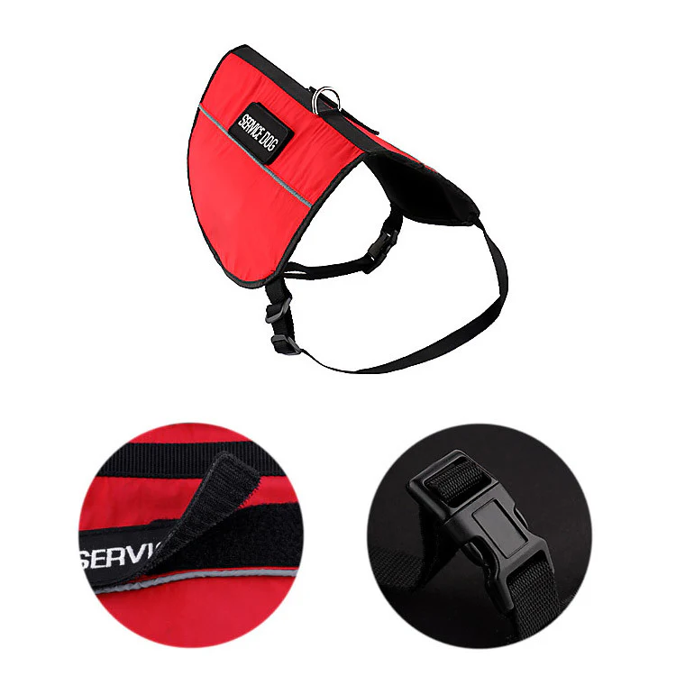 Service Dog - Premium Package (Bundle and Save $370) - Image 6