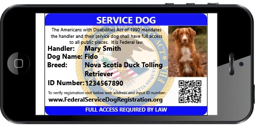 Service Dog - Standard Package (Bundle and Save $33) - Image 3